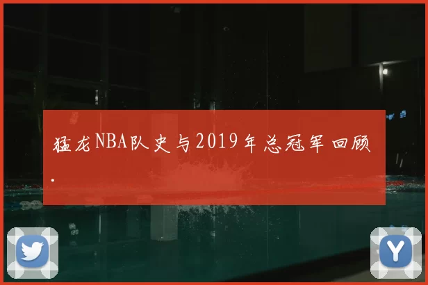 猛龙NBA队史与2019年总冠军回顾 .