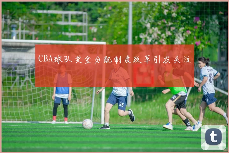 CBA球队奖金分配制度改革引发关注