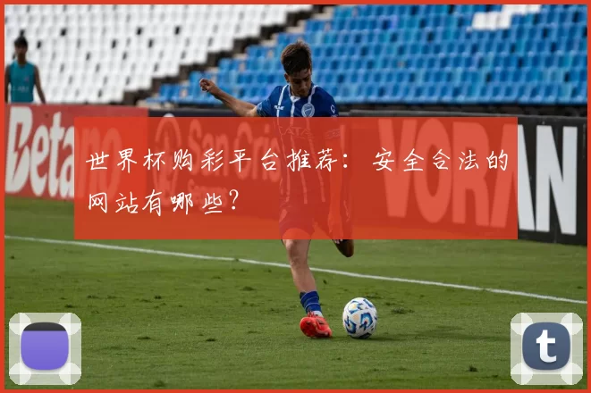 世界杯购彩平台推荐:安全合法的网站有哪些?