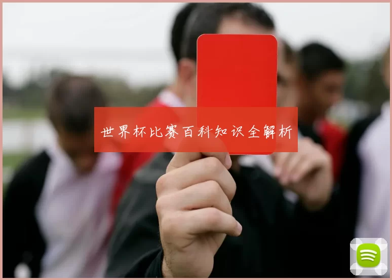 世界杯比赛百科知识全解析