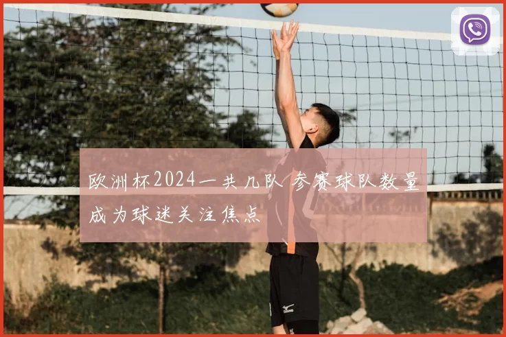 欧洲杯2024一共几队 参赛球队数量成为球迷关注焦点