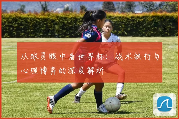 从球员眼中看世界杯:战术执行与心理博弈的深度解析