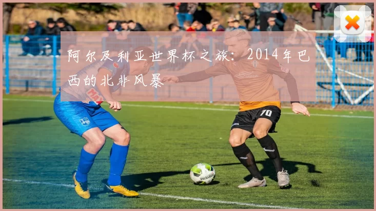 阿尔及利亚世界杯之旅:2014年巴西的北非风暴
