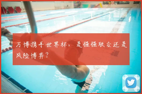 万博携手世界杯,是强强联合还是风险博弈?