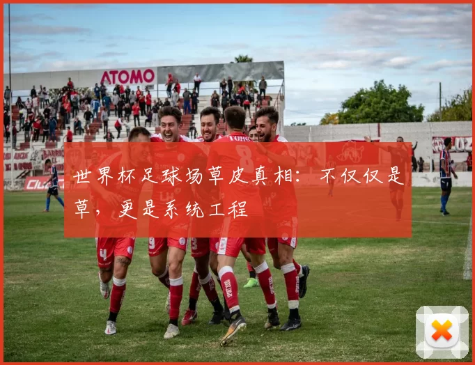 世界杯足球场草皮真相:不仅仅是草,更是系统工程