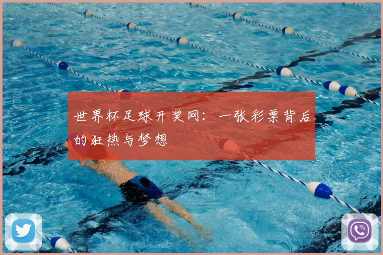世界杯足球开奖网：一张彩票背后的狂热与梦想