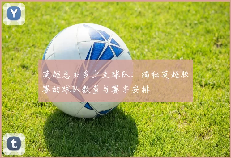 英超总共多少支球队：揭秘英超联赛的球队数量与赛季安排