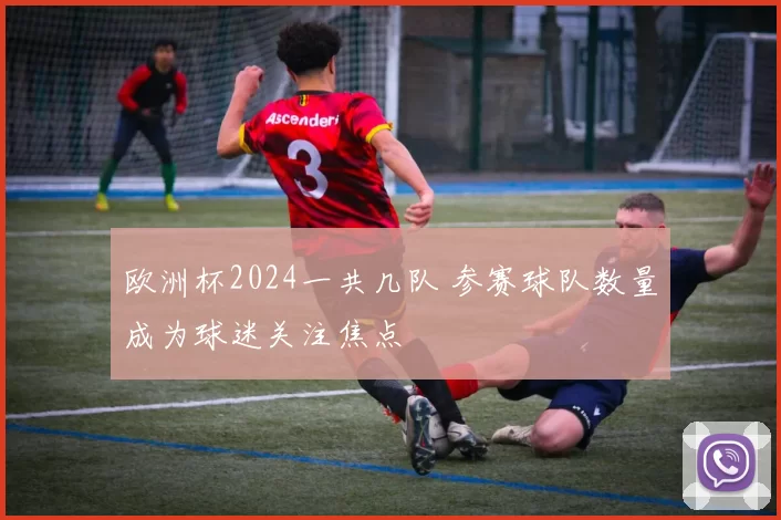 欧洲杯2024一共几队 参赛球队数量成为球迷关注焦点