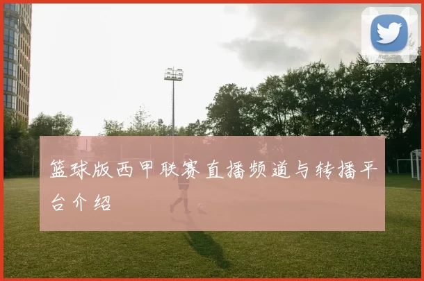 篮球版西甲联赛直播频道与转播平台介绍