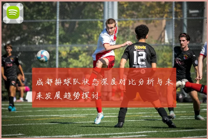 成都排球队状态深度对比分析与未来发展趋势探讨