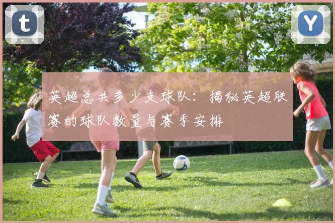 英超总共多少支球队：揭秘英超联赛的球队数量与赛季安排