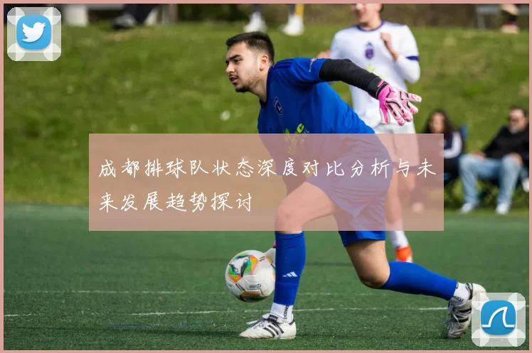 成都排球队状态深度对比分析与未来发展趋势探讨