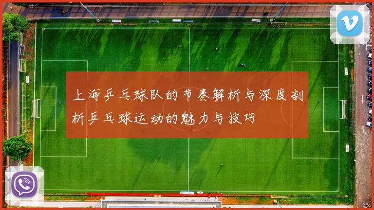 上海乒乓球队的节奏解析与深度剖析乒乓球运动的魅力与技巧