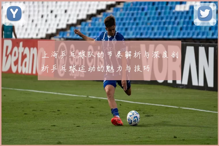 上海乒乓球队的节奏解析与深度剖析乒乓球运动的魅力与技巧