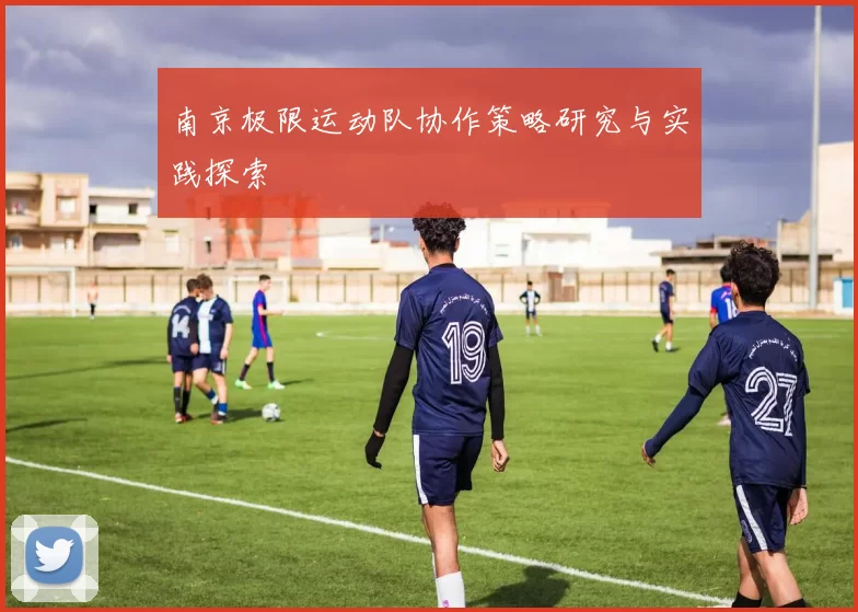 南京极限运动队协作策略研究与实践探索