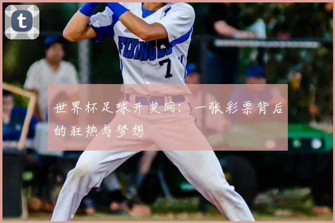 世界杯足球开奖网:一张彩票背后的狂热与梦想