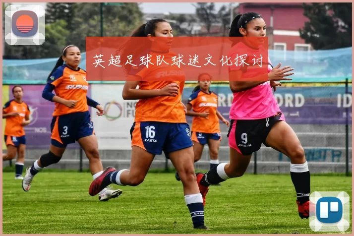 英超足球队球迷文化探讨