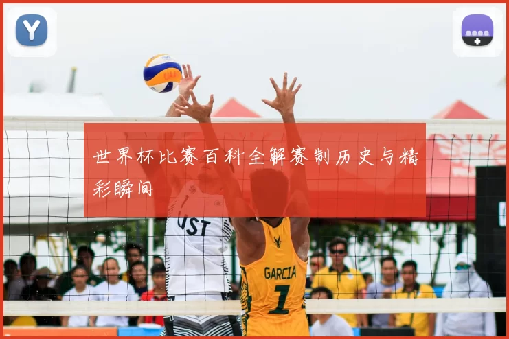 世界杯比赛百科全解赛制历史与精彩瞬间