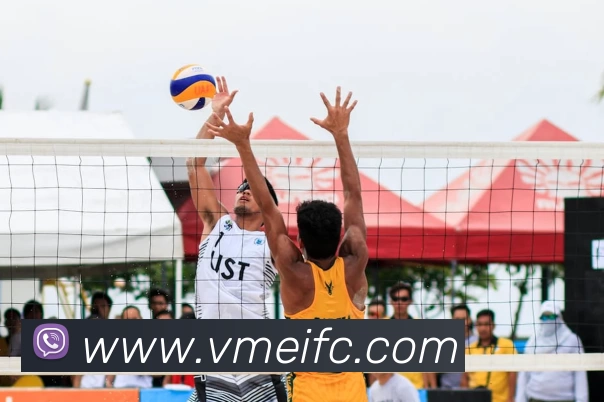 pp电子平台生态图